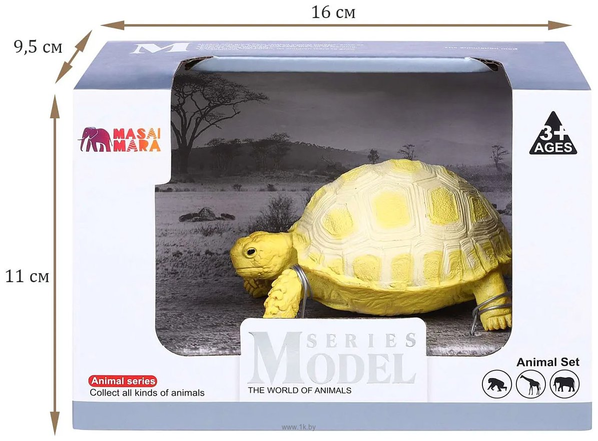Фотографии Masai Mara Мир диких животных. Египетская черепаха MM218-374