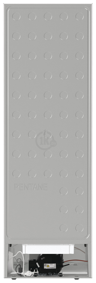 Фотографии Gorenje FN619EEW5