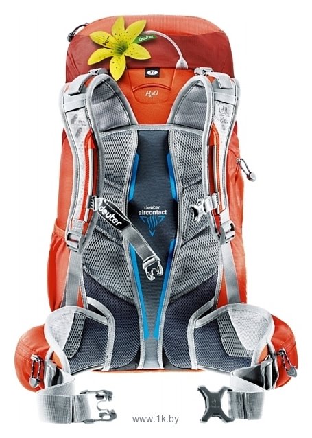 Фотографии Deuter ACT Trail PRO 32 SL red (papaya/lava)