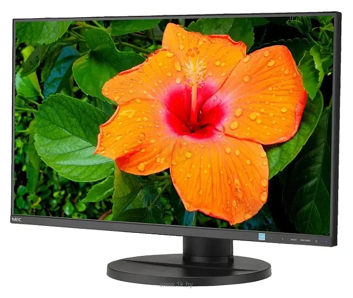 Фотографии NEC MultiSync E271N