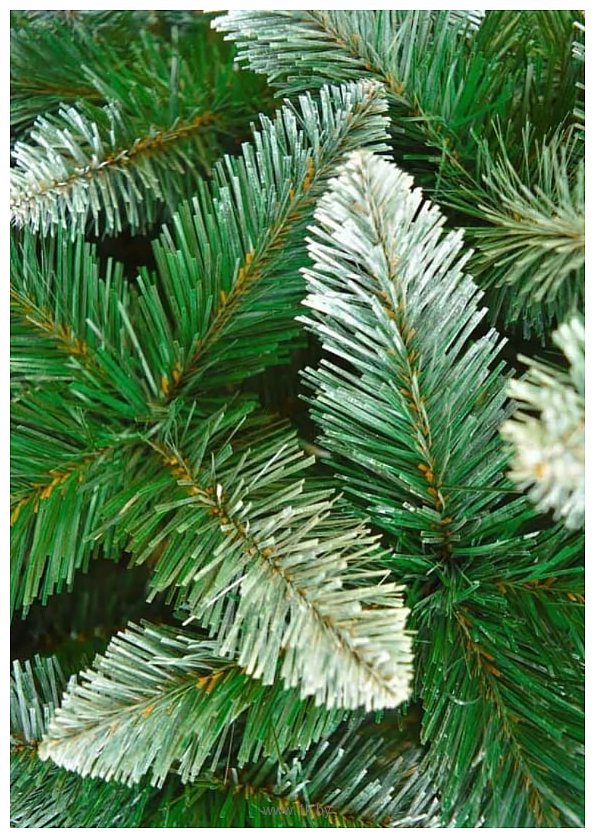 Фотографии Christmas Tree Таежная с белыми концами 2.2 м