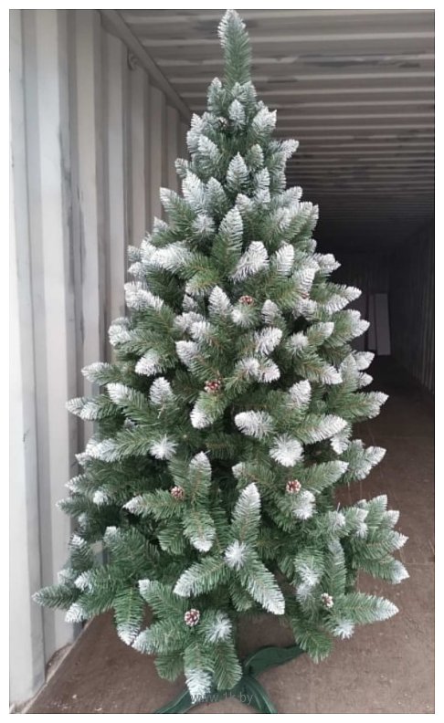 Фотографии Christmas Tree Таежная с белыми концами 2.2 м