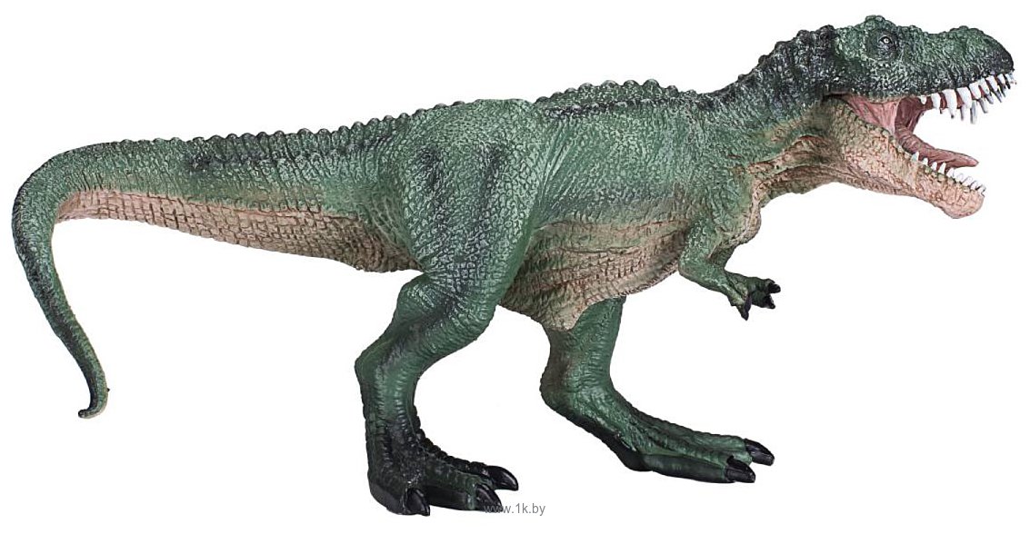 Фотографии Konik Тираннозавр охотящийся AMD4031 (зеленый)