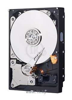 Фотографии Western Digital WD20EZRZ