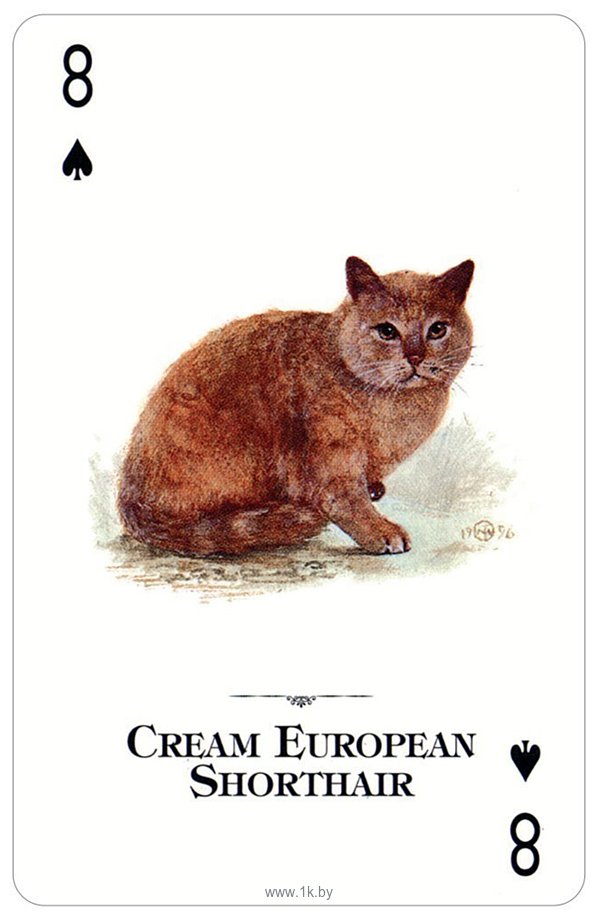 Фотографии US Games Systems Cats of the Natural World Playing Cards CWC54