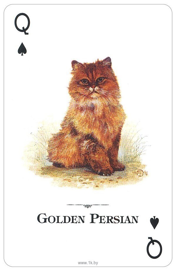 Фотографии US Games Systems Cats of the Natural World Playing Cards CWC54