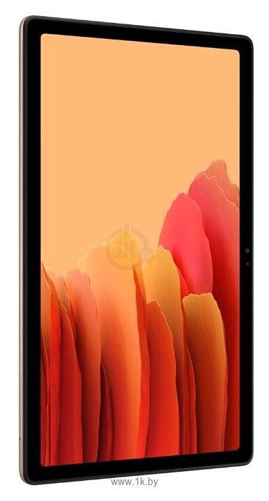 Фотографии Samsung Galaxy Tab A7 10.4 SM-T505 64GB (2020)