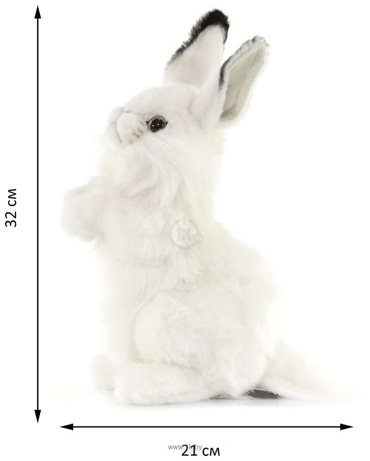 Фотографии Hansa Сreation Белый кролик 3313 (32 см)