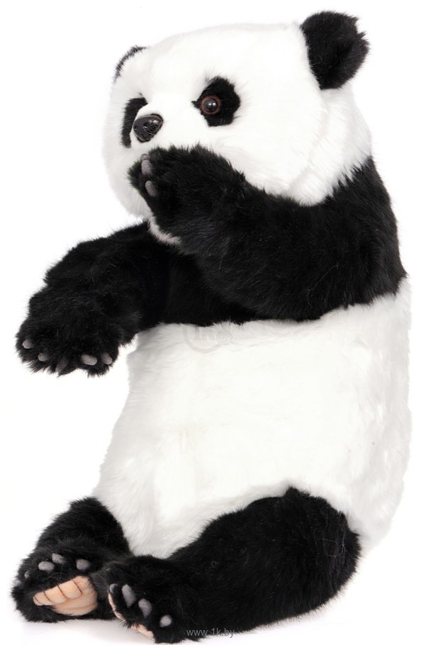 Фотографии Hansa Сreation Детеныш панды 6864 (34 см)