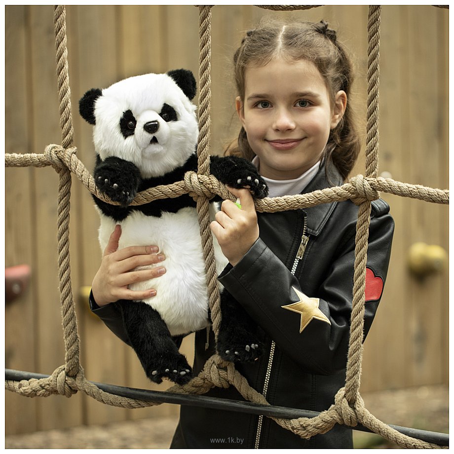 Фотографии Hansa Сreation Детеныш панды 6864 (34 см)