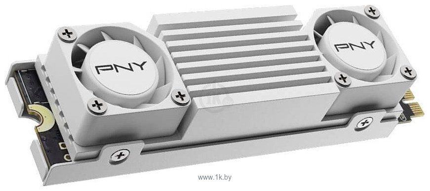 Фотографии PNY CS3150 Heatsink 2TB M280CS3150HSW-2TB-RB