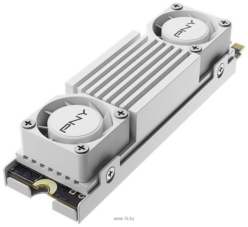 Фотографии PNY CS3150 Heatsink 2TB M280CS3150HSW-2TB-RB