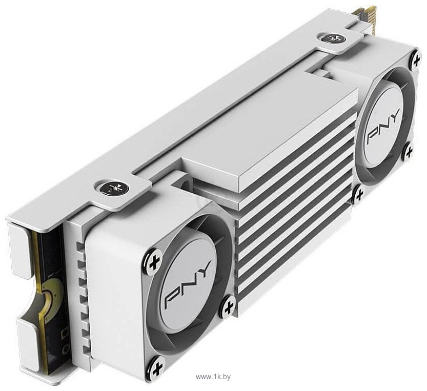 Фотографии PNY CS3150 Heatsink 2TB M280CS3150HSW-2TB-RB