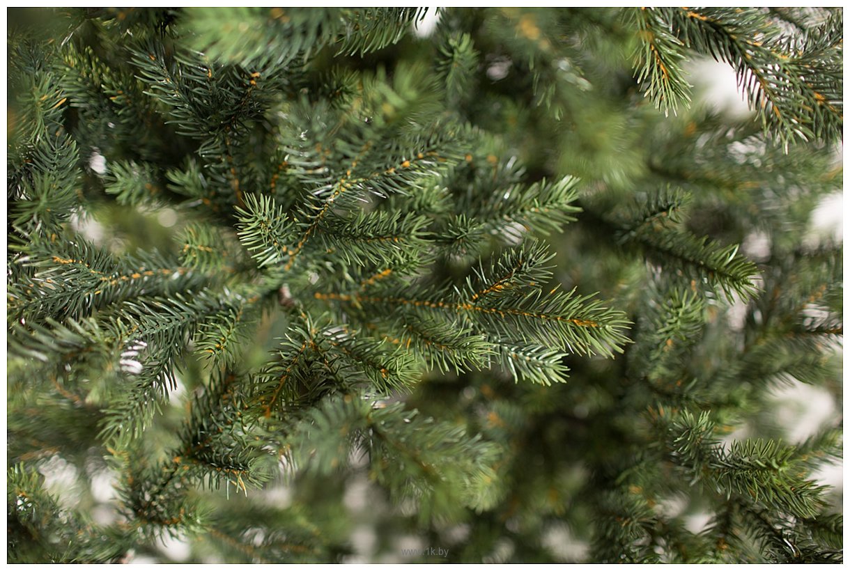 Фотографии Green Trees Бавария Люкс 1.8 м