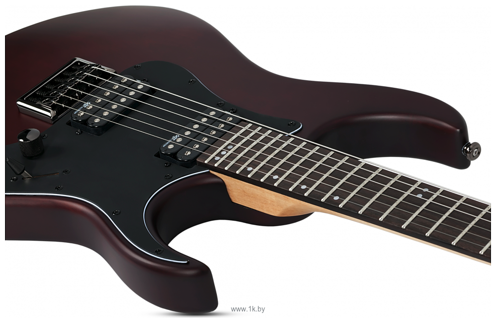 Фотографии Schecter Banshee-6 FR SGR WSN