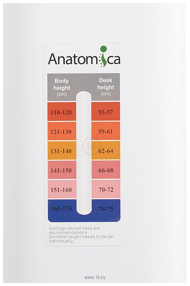 Фотографии Anatomica Premium Granda (белый/зеленый)