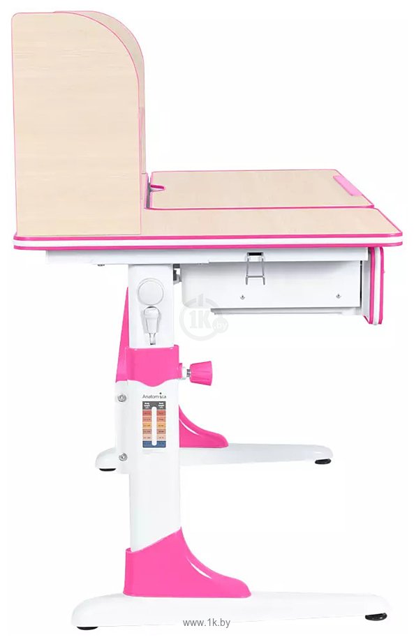 Фотографии Anatomica Study-120 Lux + надстройка + органайзер + ящик с розовым креслом Бюрократ KD-2 с цветами и сердцами (клен/розовый)