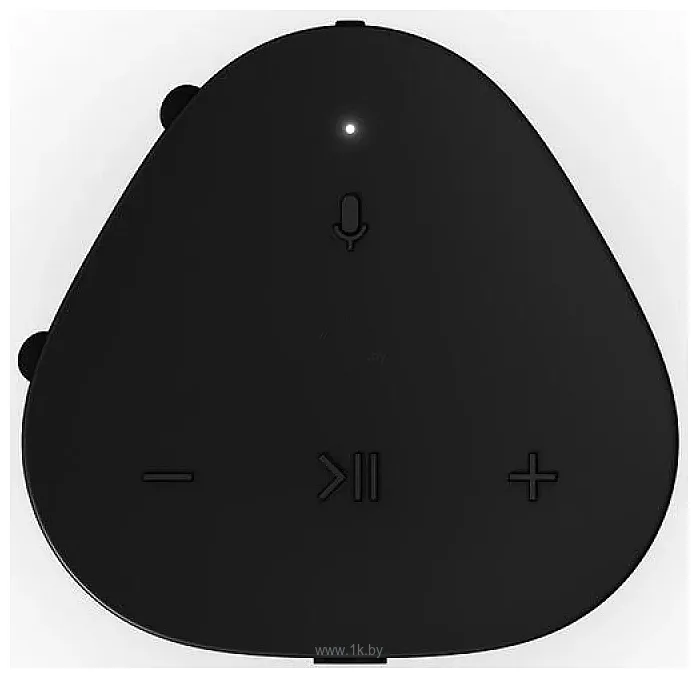 Фотографии Sonos Roam 2 