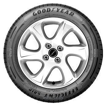 Фотографии Goodyear Efficientgrip Performance 205/55 R16 94W