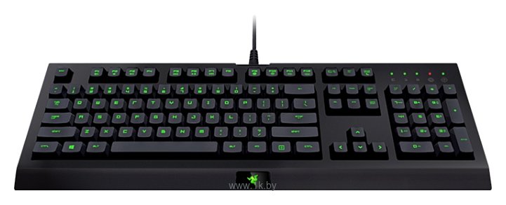 Фотографии Razer Cynosa Pro Bundle black USB