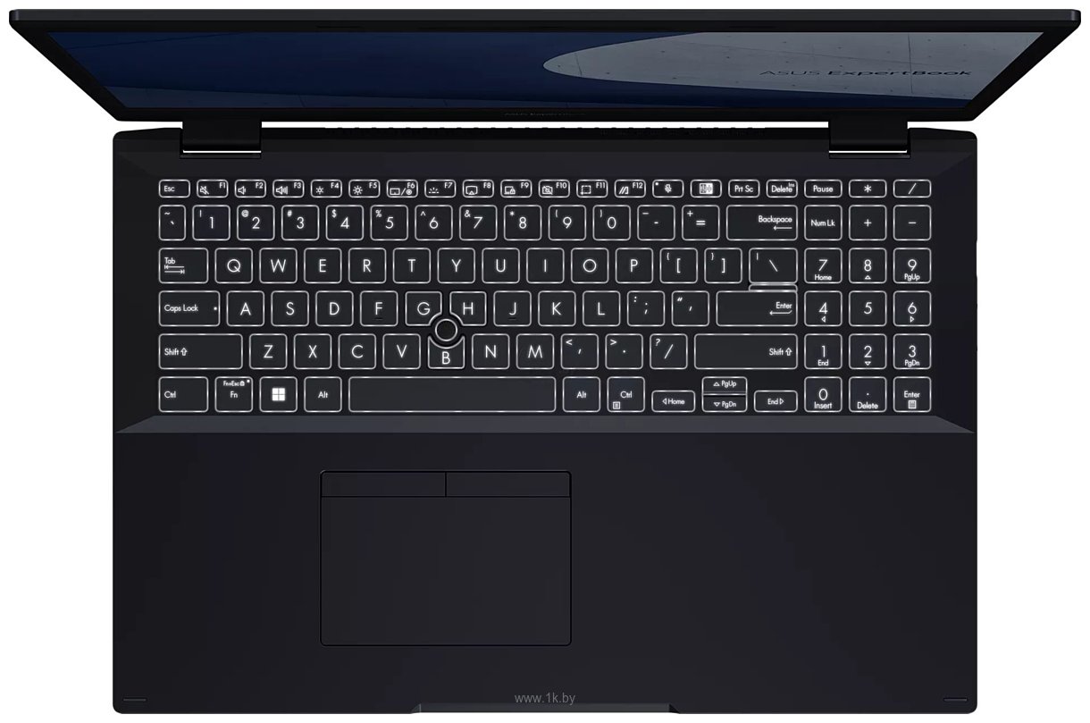 Фотографии ASUS ExpertBook L2 L2502CYA-BQ0192