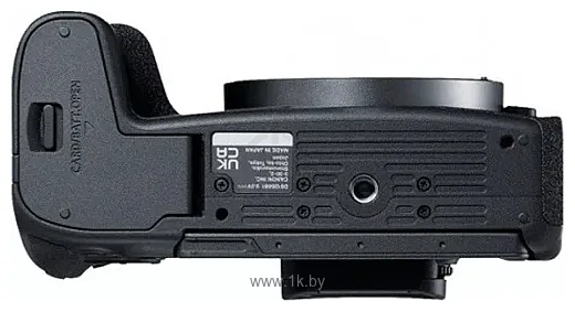 Фотографии Canon EOS R8 Body + адаптер крепления EF-EOS R