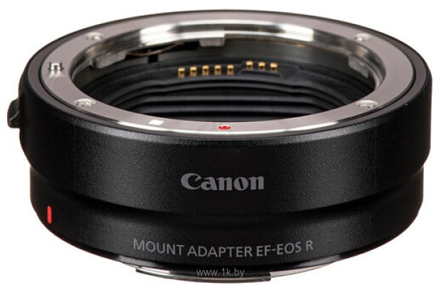 Фотографии Canon EOS R8 Body + адаптер крепления EF-EOS R