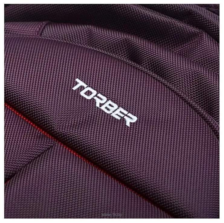 Фотографии Torber Forgrad T9502-PUR (пурпурный)