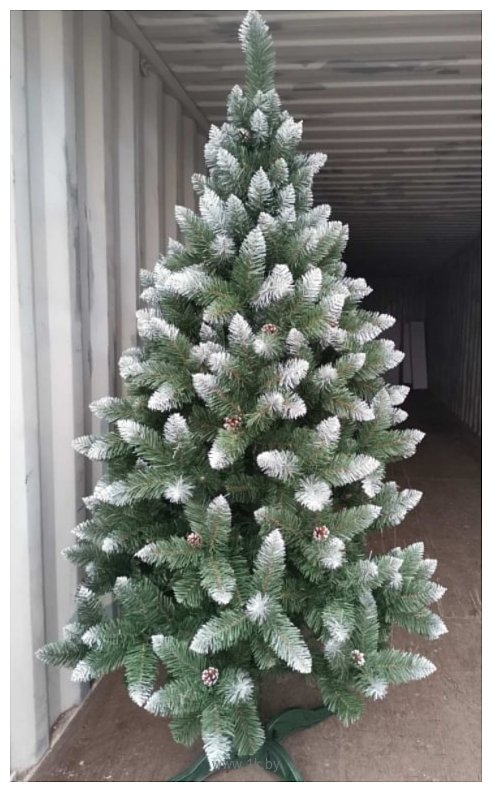 Фотографии Christmas Tree Таежная с белыми концами и с шишками 3 м