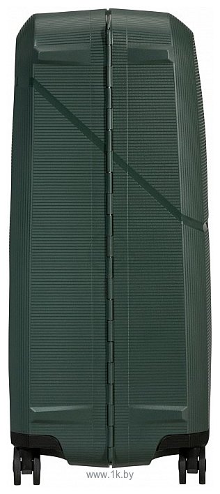 Фотографии Samsonite Magnum Eco Forest Green 75 см