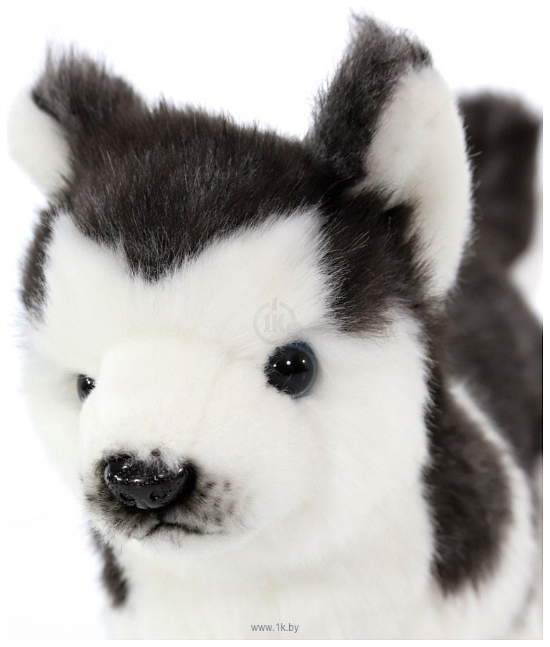 Фотографии Hansa Сreation Собака сибирский хаски, черно-белый щенок 6970 (20 см)