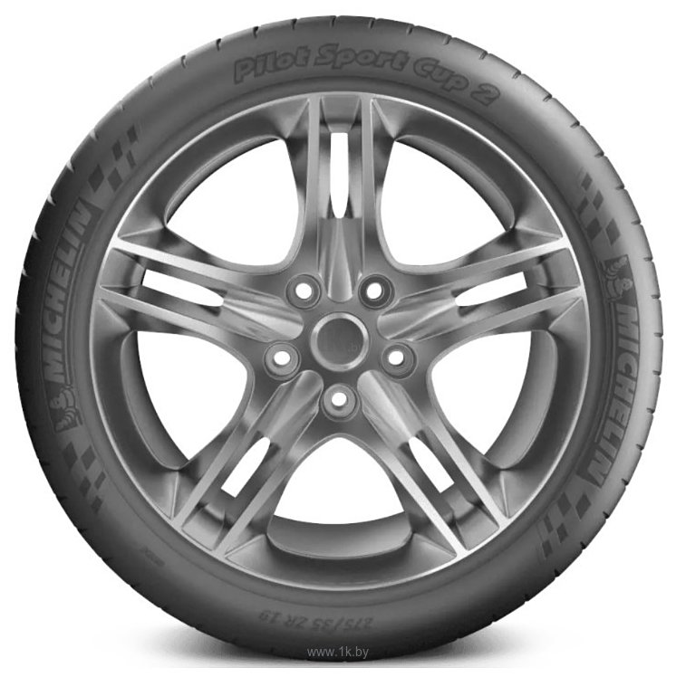 Фотографии Michelin Pilot Sport Cup 2 275/35 R21 103Y