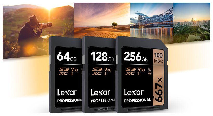 Фотографии Lexar LSD256B667 SDXC 256GB