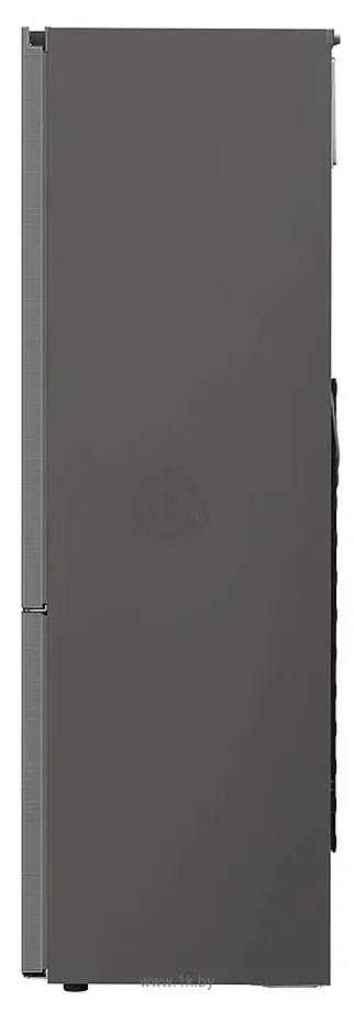 Фотографии LG DoorCooling+ GA-B509MMQM Фотографии LG DoorCooling+ GA-B509MMQM