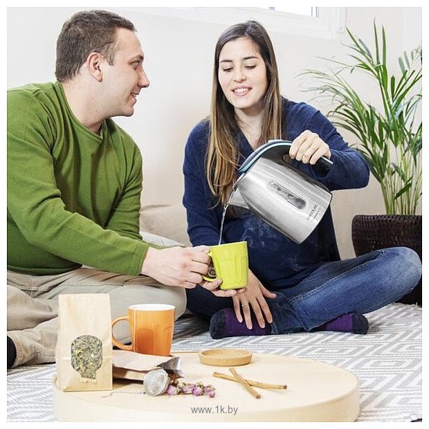 Фотографии Cecotec Thermosense 220 Steel