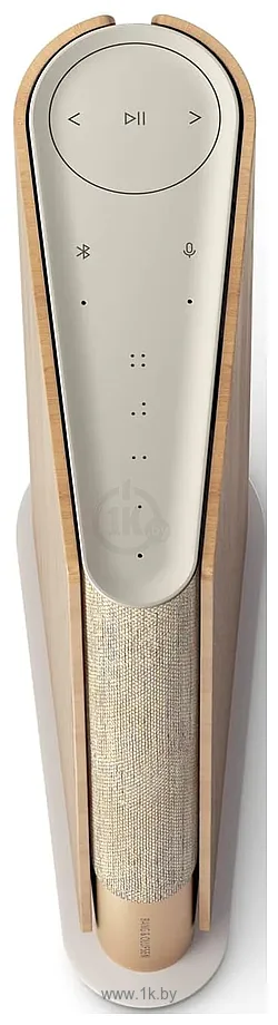 Фотографии Bang & Olufsen Beosound Emerge Gold Tone