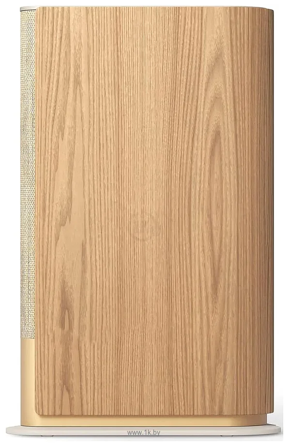 Фотографии Bang & Olufsen Beosound Emerge Gold Tone