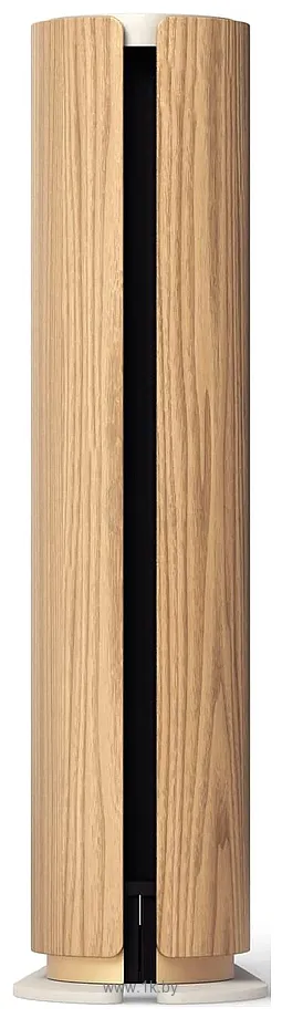 Фотографии Bang & Olufsen Beosound Emerge Gold Tone