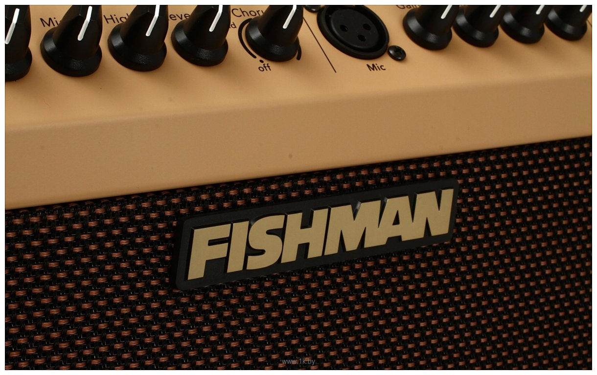 Фотографии Fishman Loudbox Mini