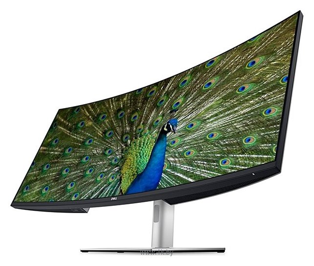 Фотографии DELL UltraSharp U4021QW