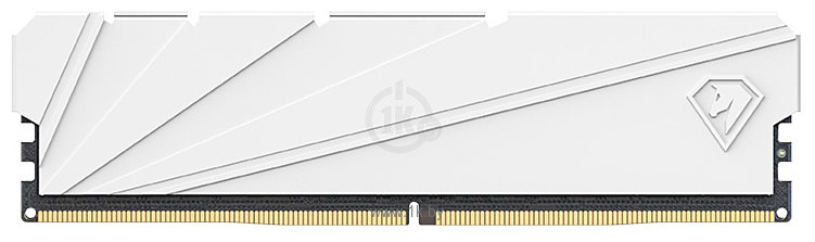 Фотографии Netac Shadow S NTSSD4P32DP-32W