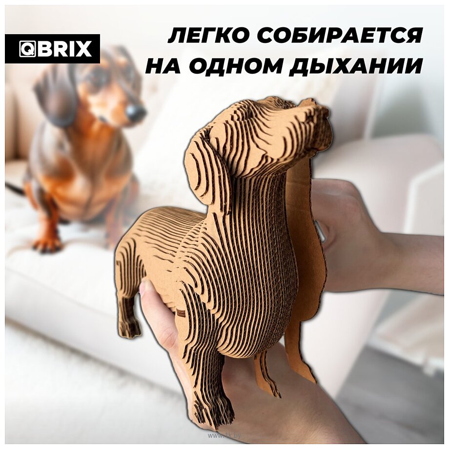 Фотографии QBRIX Такса 3D 20097 Фотографии QBRIX Такса 3D 20097