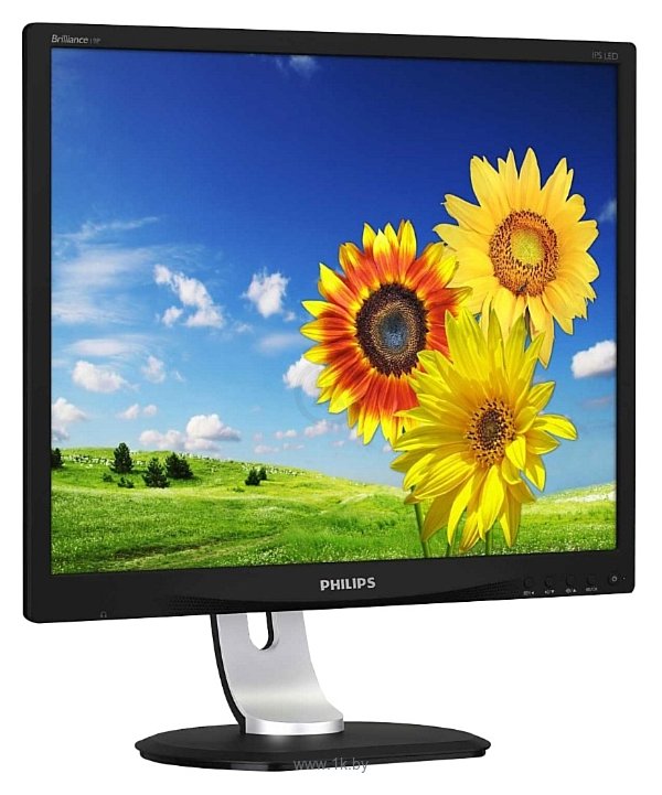 Фотографии Philips 19P4QYEB