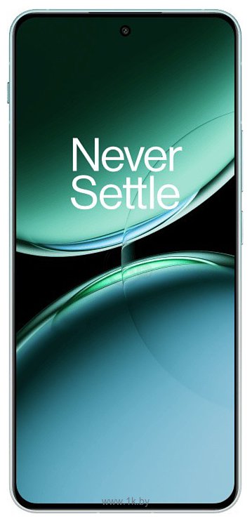 Фотографии OnePlus Nord 4 16/512GB