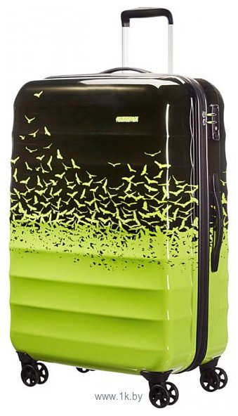 Фотографии American Tourister Palm Valley L (02G*103) 77 см