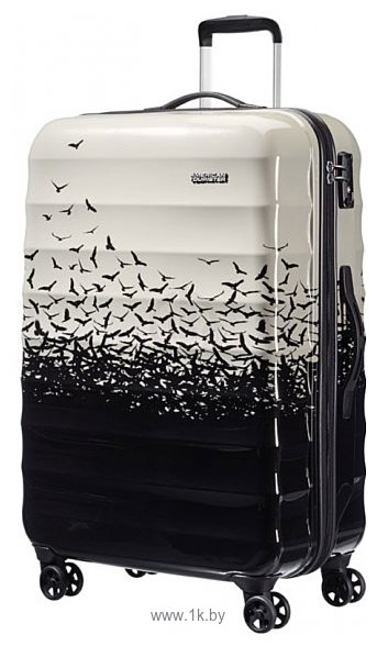 Фотографии American Tourister Palm Valley L (02G*103) 77 см