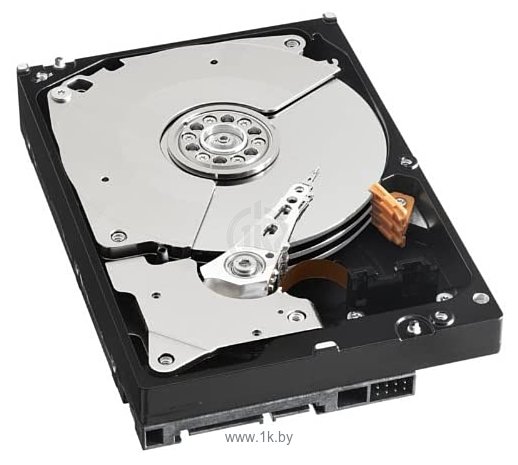 Фотографии Western Digital RE4 500GB WD5003ABYX