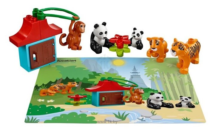 Фотографии LEGO Education PreSchool DUPLO 45029 Животные