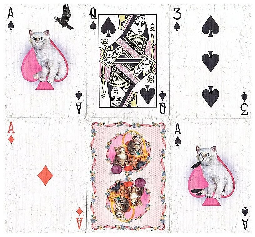 Фотографии United States Playing Card Company Ellusionist Madison Kittens 120-ELL38