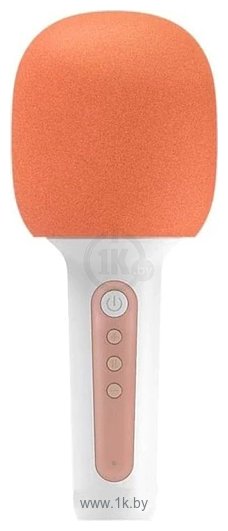 Фотографии YHEMI Karaoke Microphone Lite